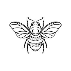 stylized outline bee design
