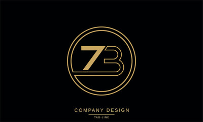 ZB, BZ Abstract Letters Logo Monogram Design Font Icon Vector