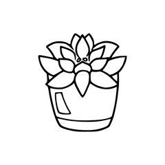 cute succulent plant in pot illustration