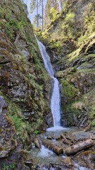 Obraz premium Mighty Waterfall Cascading into a Clear Basin