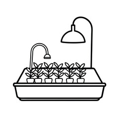 Microgreens setup with lamp and tray on tabletop Vector illustration