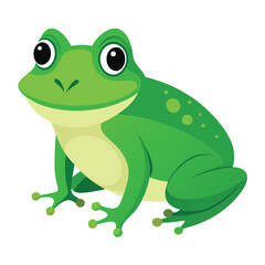 A common green frog croaking loudly, sitting on a clean white background, a typical pond amphibian.