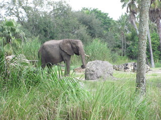 Wedding-themed image with romantic and decorative elements