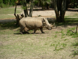 Wedding-themed image with romantic and decorative elements
