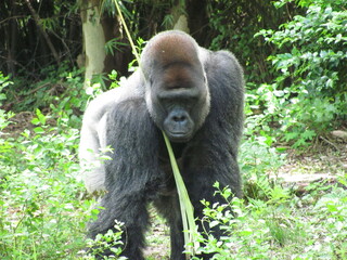 Wedding-themed image with romantic and decorative elements