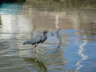 Wedding-themed image with romantic and decorative elements