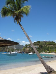 Wedding-themed image with romantic and decorative elements