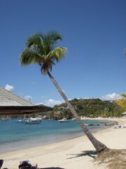 Wedding-themed image with romantic and decorative elements