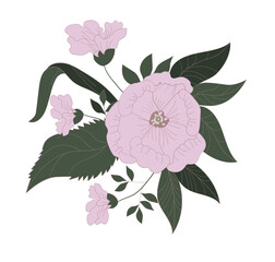 Bouquet of large white flowers painted by hand. Botanical ornament for fabrics, textiles, packaging and wallpaper. Vector illustration.