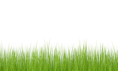 Obraz premium Png Green Grass Border on Transparent Background. Vector Illustration 