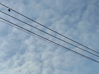 high voltage power line