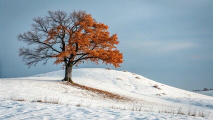 Solitary Oak Tree with Autumn Leaves on a Snowy Hillside