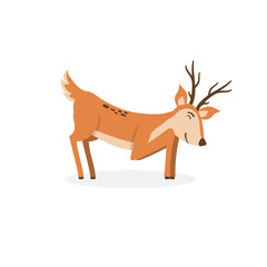 Png cartoon wild cervid animal set with cute bambi baby fawn reindeer and spotted roe isolated vector illustration nature wildlife forest character family

