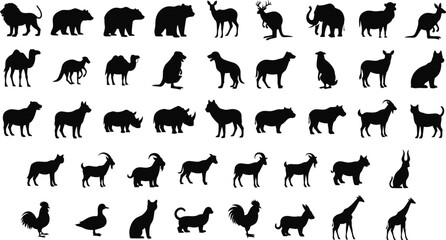 Fototapeta premium Diverse Animal Silhouettes: Black & White Wildlife Collection