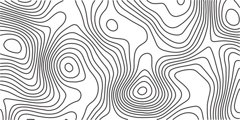 White wave paper curved reliefs abstract background. Vector geographic contour map, Abstract topographic contours map background, Topography map background. 
