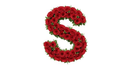 letter S