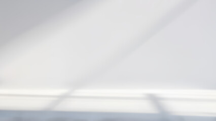 Bright white studio with natural sunlight casting soft window shadows, background