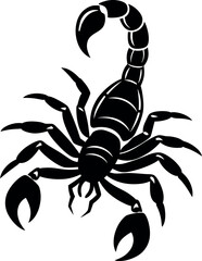 Black Scorpion Vector Illustration