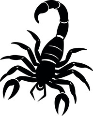 Black Scorpion Vector Illustration