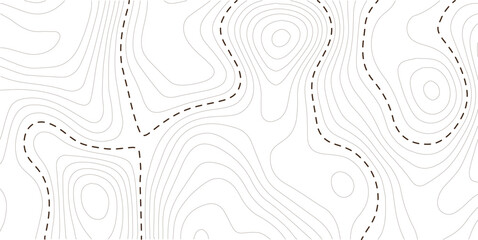 Abstract topographic contours map background. White wave paper curved reliefs abstract background. Vector geographic contour map, Topography map background. 