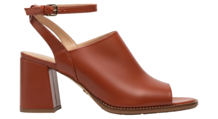 Isolated Brown Leather Sandal