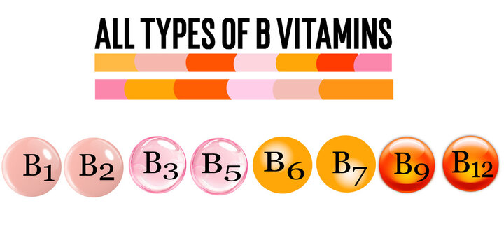 Colorful 3D illustrations of B vitamins B1 through B12, representing the full B vitamin group
