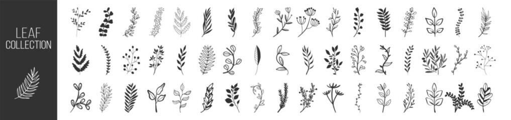 Floral and botanical leaf collection, hand drawn plant and branch vector set, vintage decorative elements, wedding wreath and nature doodle illustration on transparent background © Alex
