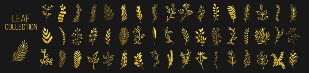 Golden floral and botanical leaf collection, hand drawn plant and branch vector set, vintage decorative elements, wedding wreath and nature doodle illustration on transparent background