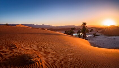 sunrise desert oasis