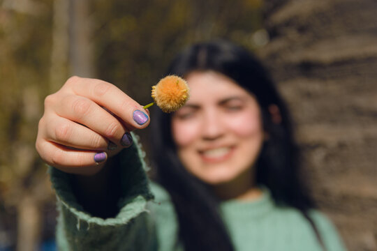 blurred young woman's hand holding a flower in the foreground