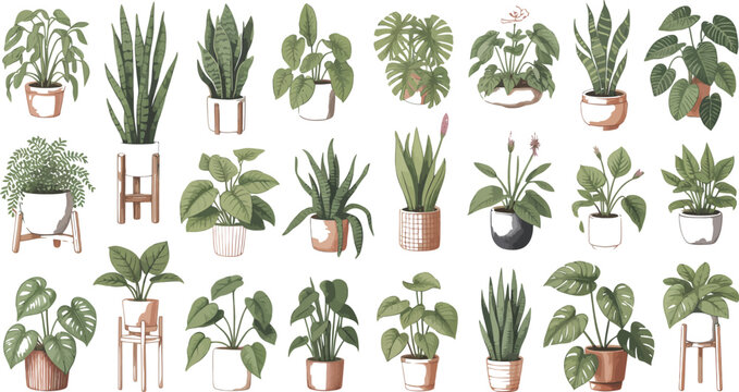 Collection of watercolor potted plants illustration for home decor and indoor gardening design ideas