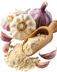 Fresh Garlic Bulbs and Powder in Wooden Scoop