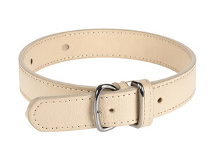 A stylish beige leather belt with silver buckle.