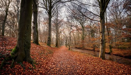 autumn forest path with fallen leaves and bare trees in a tranquil nature setting