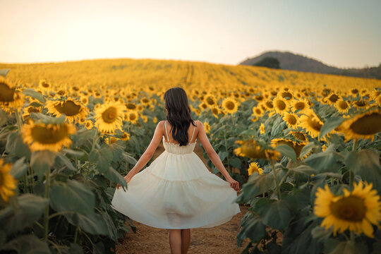 Carefree happy young asian woman in white dress lifting skirt playfully while looking at sunset in blooming sunflower field – freedom, summer joy and peaceful lifestyle concept in nature.