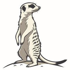 Alert Meerkat Standing Clean Vector Illustration on White Background

