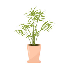 Tropical palm tree in a flower pot. Vector illustration of a houseplant, flat style.