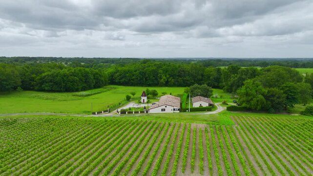 Vineyards and grape fields around Bordeaux from a drone, Saint-Mariens, Gironde, Nouvelle-Aquitaine, France, Europe