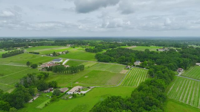 Vineyards and grape fields around Bordeaux from a drone, Saint-Mariens, Gironde, Nouvelle-Aquitaine, France, Europe