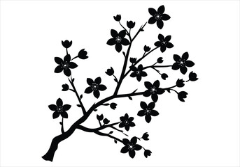 Cherry Blossom silhouette on white background