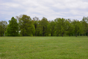 Green field with trees under a cloudy sky wallpaper