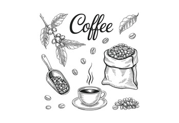 Hand drawn sketch of coffee beans a cup of coffee and coffee plant