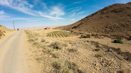 Rural Desert Landscape with Dirt Road