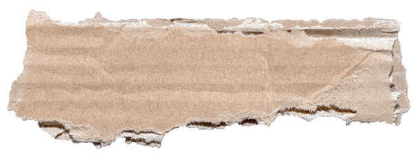 Isolated cut out torn piece of brown corrugated cardboard paper with texture and copy space for text, transparent png background design element