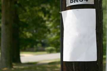 Blank white paper sheet attached to a wooden utility pole outdoors isolated on white background