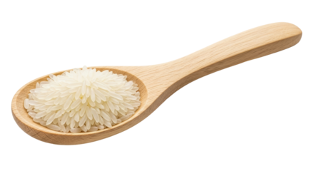 Isolated Spoon with Rice