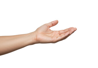 female hand isolated on white