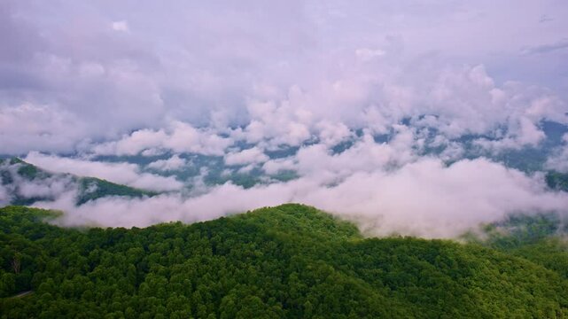 Drone flight through the mystical Smoky Mountains.