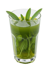 A verdant elixir sage leaves float in clear liquid inside a glass. Botanical infusion, herbal