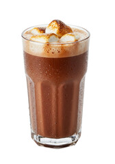 Delicious hot chocolate with toasted marshmallows in a clear glass cup
